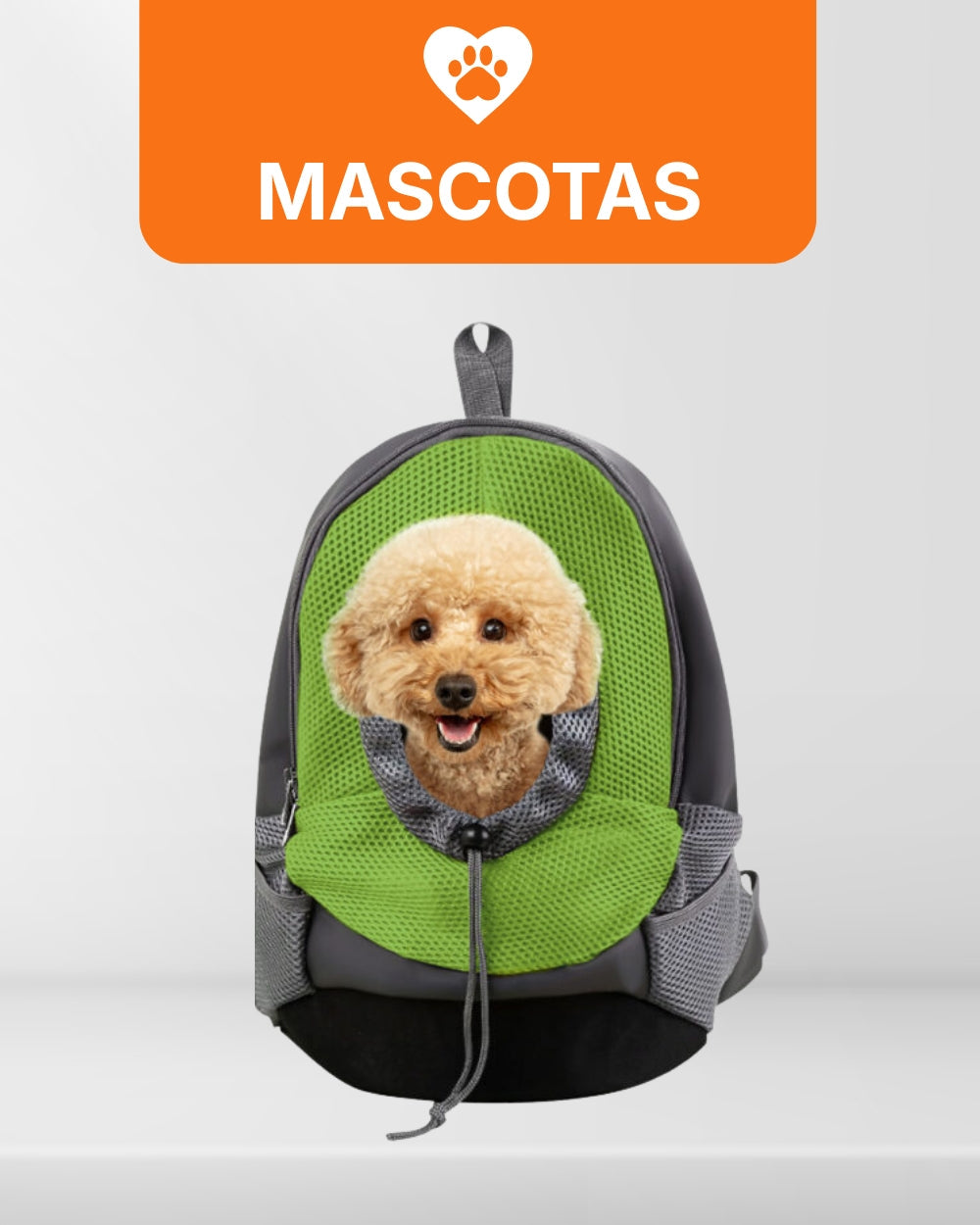 Imagen de un perro y un gato con productos para mascotas, la colección dedicada a Mascotas destaca lo mejor para tus mascotas.